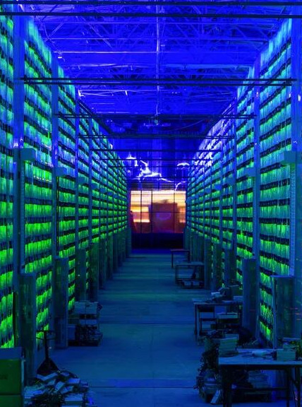 This image has an empty alt attribute; its file name is New-Project-1-1.jpg